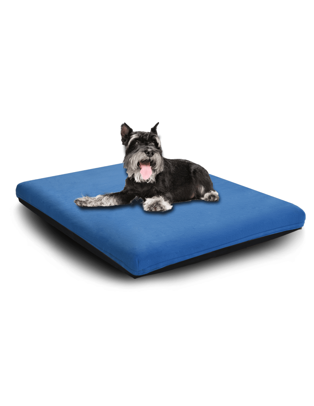 Pet Dreams Convoluted Foam