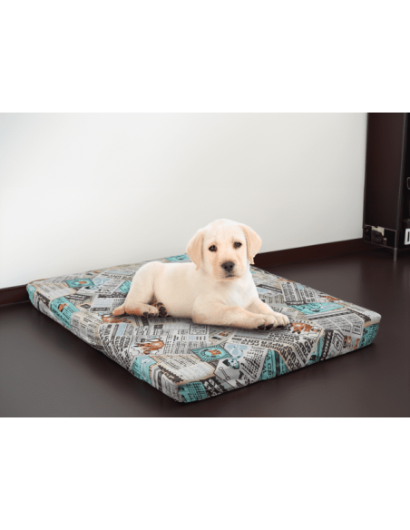 Pet Dreams Memory Foam